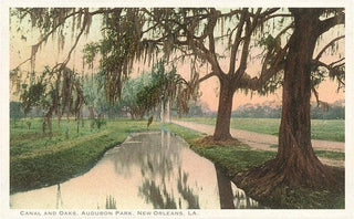 Magnet LU-252 Audubon Park, New Orleans