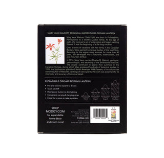 Modgy Mary Vaux Walcott Botanical Watercolor Origami Lantern