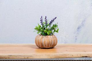 Large Low Pumpkin Planter-6.5"W