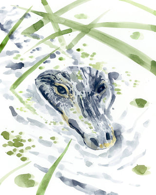 "Alligator in the Reeds" Watercolor Fine Art Print: 5" x 7"