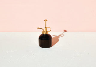 Modern Sprout - Glass and Brass Mister
