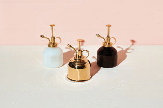 Modern Sprout - Glass and Brass Mister