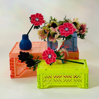 FOREVER FLOWER - ANEMONE