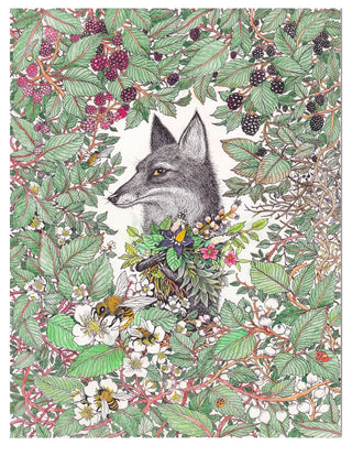 8.5x11 Fine Art Prints by Magda Boreysza (Fox and Comet)