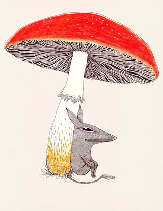 8.5x11 Fine Art Prints by Magda Boreysza (Fox and Comet)