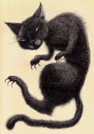 8.5x11 Fine Art Prints by Magda Boreysza (Fox and Comet)