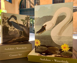 Featured: Audubon Collection