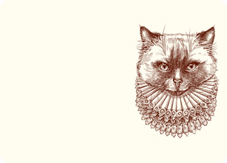 Madame Kitty A6 Notes