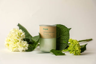 HOPE, Rosemary & MInt Scent, gives to Fighting Climate Chang