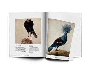 Birds - The Art of Ornithology book