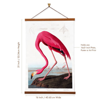American Flamingo Canvas Print by John James Audubon