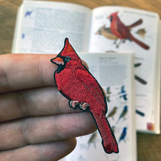 Northern Cardinal Patch