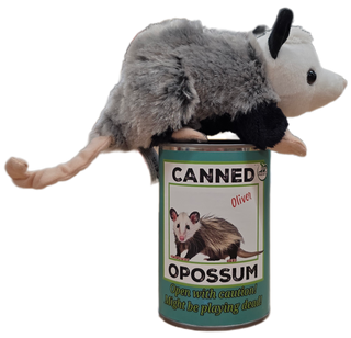 Oliver the Canned Opossum