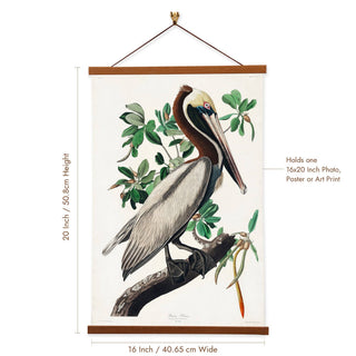 Brown Pelican Giclée Canvas Print by John James Audubon