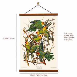Carolina Parrot Giclée Canvas Print by John James Audubon