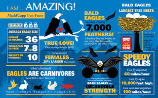 I Am Eagle 300-Piece Puzzle