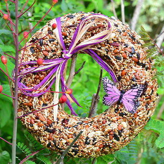 WildFare Bird Seed Wreath