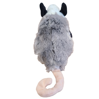 Oliver the Canned Opossum