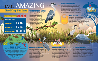I Am Blue Heron 300-Piece Puzzle