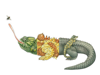Flip-A-Gator Children's Book