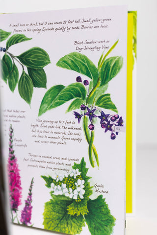 Drawn to Birds: A Naturalist's Sketchbook
