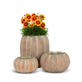 Lg Tall Pumpkin Planter-8.5"H-2410