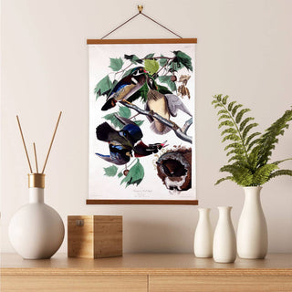 Summer Duck Giclée Canvas Print by John James Audubon