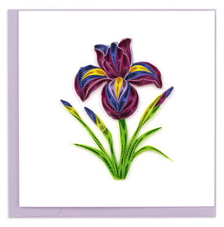 Iris Quilled Greeting Card