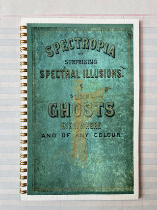 Spectropia, Spectral Illusions and Ghosts