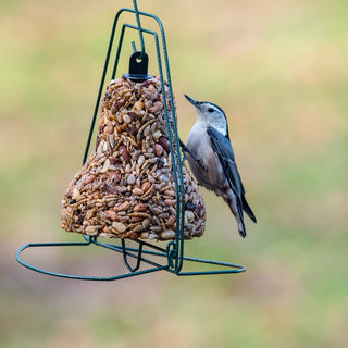 Bugs, Nuts, and Fruit Bird Seed Bell