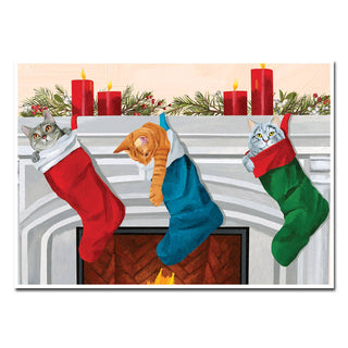 Stocking Cats Holiday Card