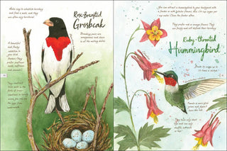 Drawn to Birds: A Naturalist's Sketchbook