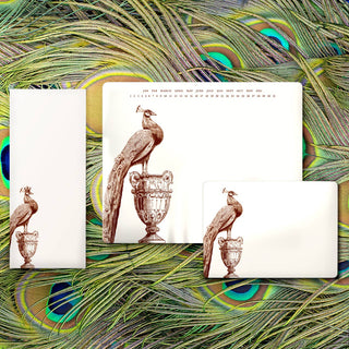 Peacock A6 Notes