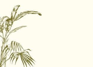 Swampy A2 Notes | Alexa Pulitzer