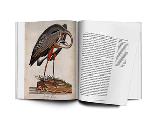 Birds - The Art of Ornithology book