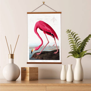 American Flamingo Canvas Print by John James Audubon