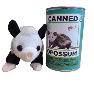 Oliver the Canned Opossum