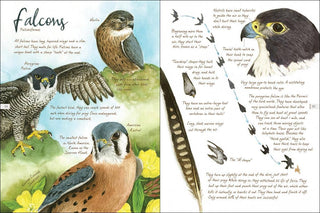 Drawn to Birds: A Naturalist's Sketchbook