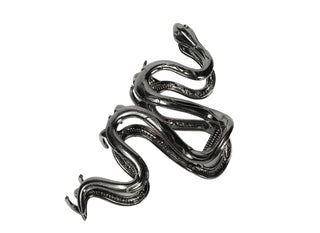 Snake Hair Claw Clip