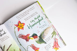 Drawn to Birds: A Naturalist's Sketchbook