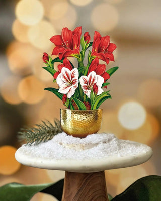 MINI CHRISTMAS SCARLET AMARYLLIS POP UP CARD from FRESHCUT PAPER