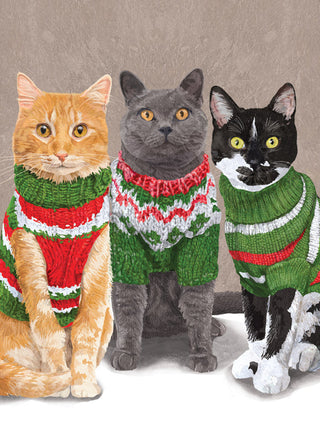 Cats in Sweaters Holiday Card