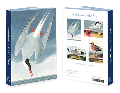 Audubon Sea Birds Notecard Set