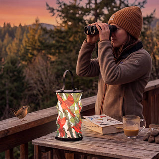 Cardy Party Origami Lantern