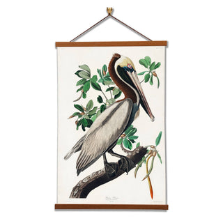 Brown Pelican Giclée Canvas Print by John James Audubon