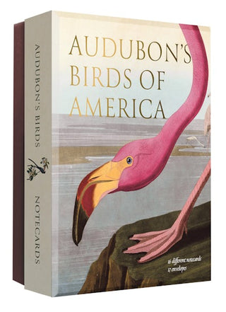 Audubon's Birds of America Notecards