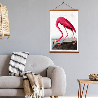 American Flamingo Canvas Print by John James Audubon