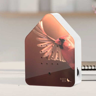 Birdybox Red Cardinal Feathers
