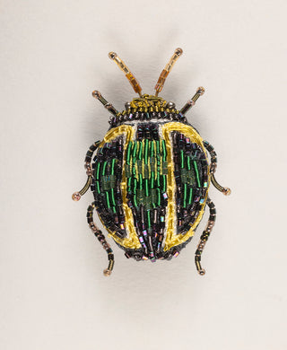 Tortoise Beetle Brooch Pin