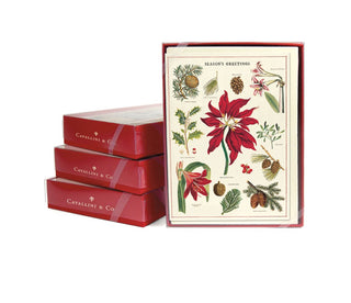 Botanica Christmas Boxed Cards